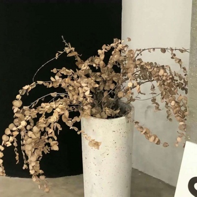 Furry绘画质感技巧兽圈社群